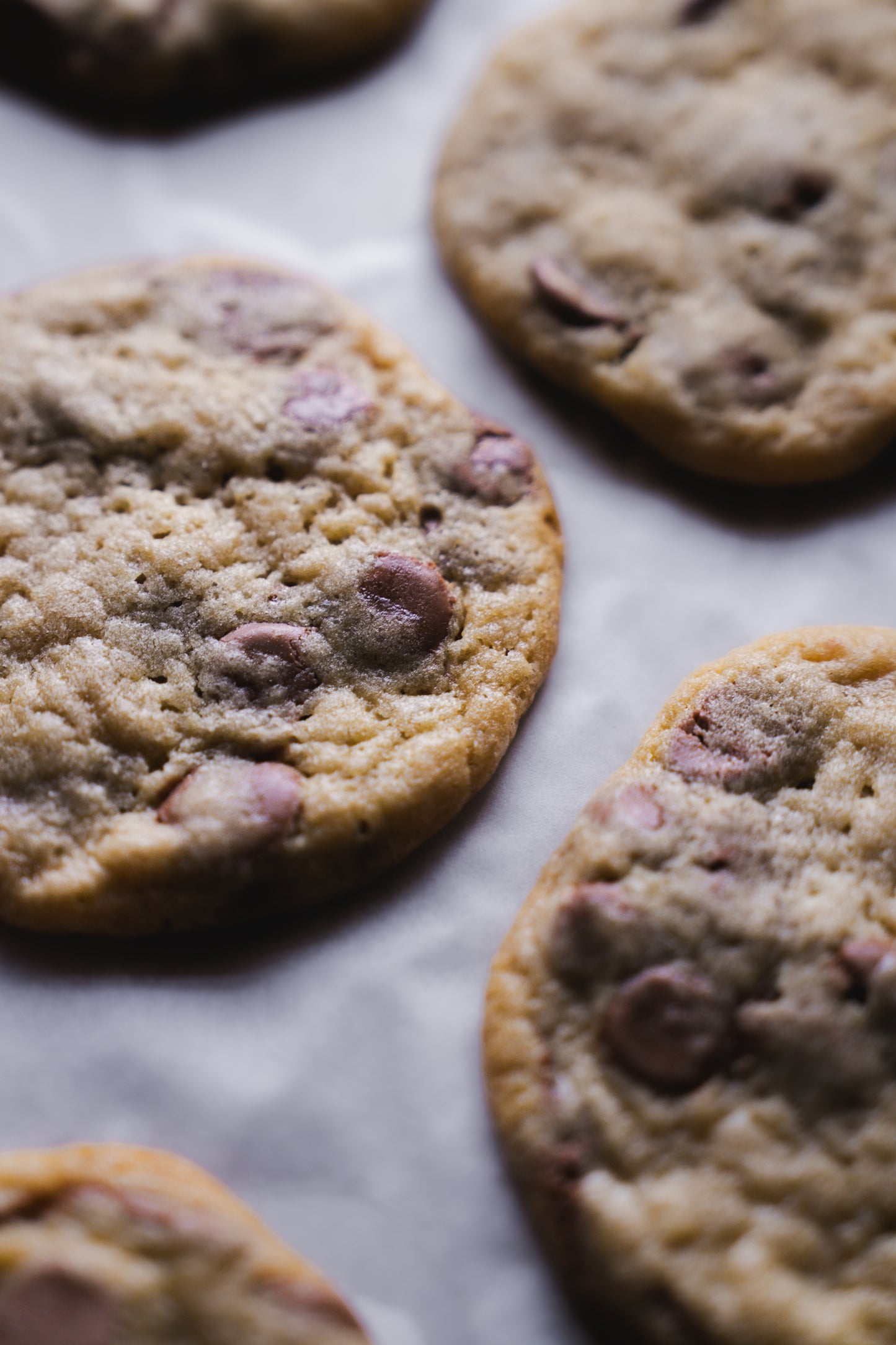 Chocolate Chip Assortment