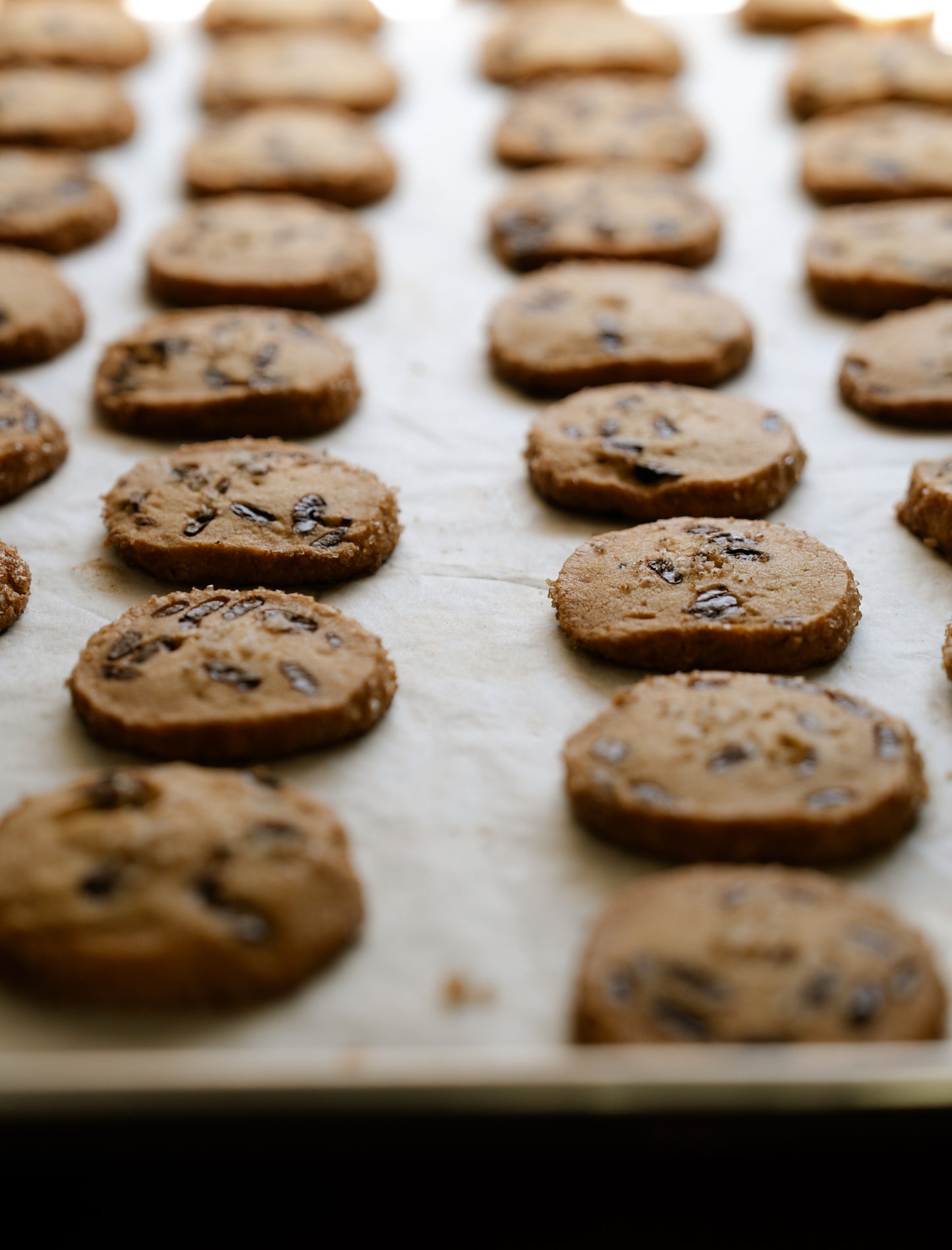 Chocolate Chip Shortbreads