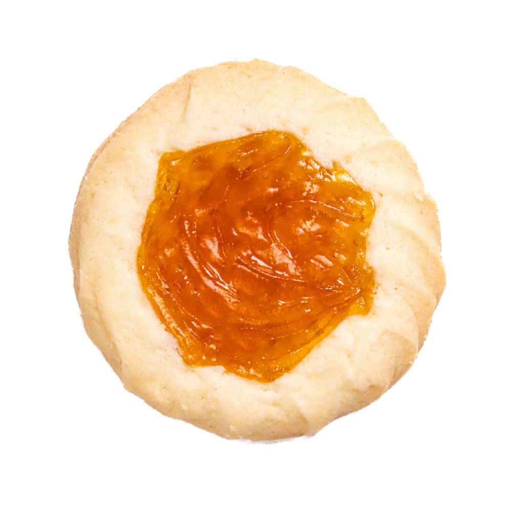 Apricot Center