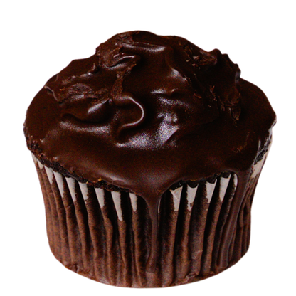 Chocolate Ganache Cupcake