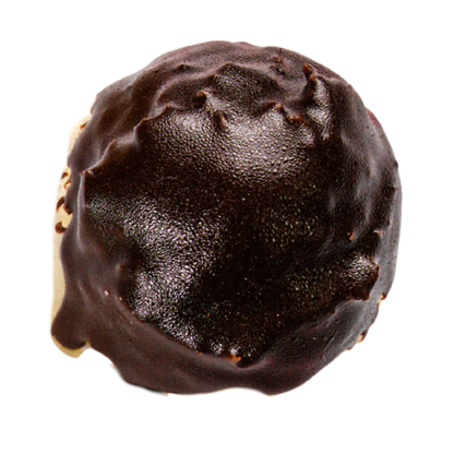 Chocolate Coconut Macaroon (GF)