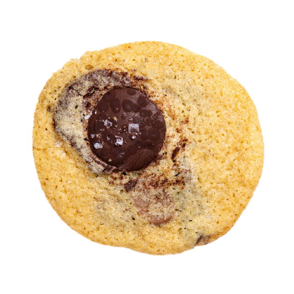 Adult Chocolate Chip
